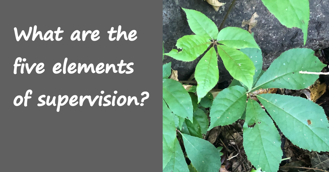 What are the five elements of supervision?