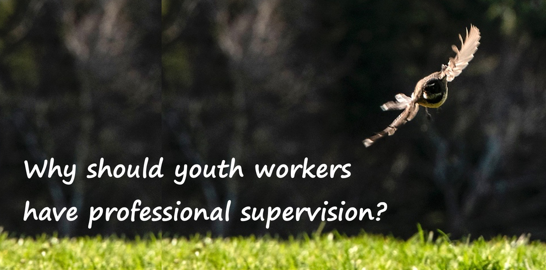 Why should youth workers have professional supervision? Fantail in flight. Photo by Ian Thomson: Ian@NZFlickr